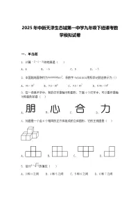 2025年中新天津生态城第一中学九年级下结课考数学模拟试卷（含答案解析）