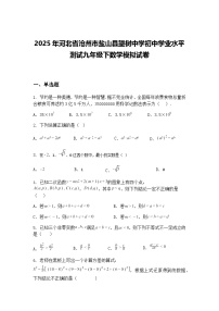 2025年河北省沧州市盐山县望树中学初中学业水平测试九年级下数学模拟试卷（含答案解析）
