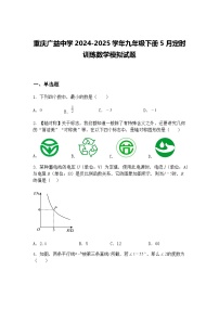 重庆广益中学2024-2025学年九年级下册5月定时训练数学模拟试题（含答案解析）