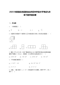 2025年新疆昌吉回族自治州初中学业水平考试九年级下数学模拟卷（含答案解析）
