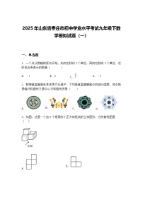 2025年山东省枣庄市初中学业水平考试九年级下数学模拟试题（一）（含答案解析）