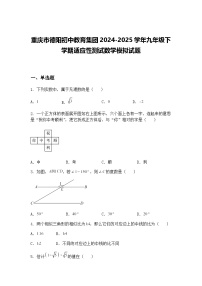 重庆市德阳初中教育集团2024-2025学年九年级下学期适应性测试数学模拟试题（含答案解析）