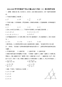 2024-2025学年河南省平顶山市鲁山县八年级（上）期末数学试卷-自定义类型