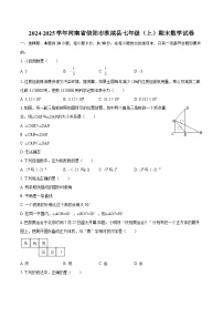 2024-2025学年河南省信阳市淮滨县七年级（上）期末数学试卷-自定义类型