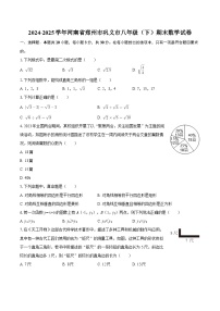 2024-2025学年河南省郑州市巩义市八年级（下）期末数学试卷-自定义类型