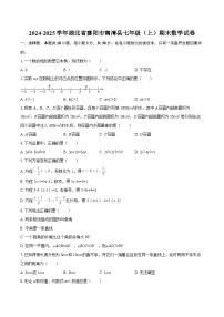 2024-2025学年湖北省襄阳市南漳县七年级（上）期末数学试卷-自定义类型