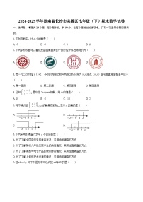 2024-2025学年湖南省长沙市芙蓉区七年级（下）期末数学试卷-自定义类型