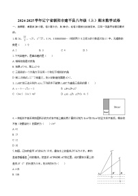 2024-2025学年辽宁省朝阳市建平县八年级（上）期末数学试卷-自定义类型