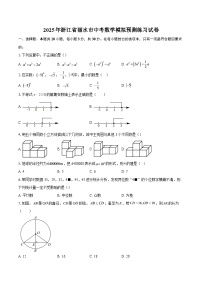 2025年浙江省丽水市中考数学模拟预测练习试卷-自定义类型