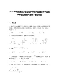 2025年新疆维吾尔自治区伊犁哈萨克自治州巩留县中考模拟预测九年级下数学试题（含答案解析）