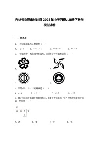 吉林省松原市长岭县2025年中考四模九年级下数学模拟试卷（含答案解析）