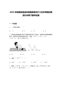 2025年陕西省商洛市商南县湘河片三校中考模拟预测九年级下数学试题（含答案解析）