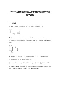 2025年河北省沧州市任丘市中考模拟预测九年级下数学试题（含答案解析）