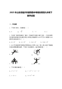 2025年山东省临沂市蒙阴县中考模拟预测九年级下数学试题（含答案解析）