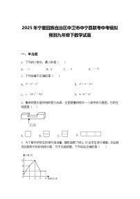 2025年宁夏回族自治区中卫市中宁县联考中考模拟预测九年级下数学试题（含答案解析）