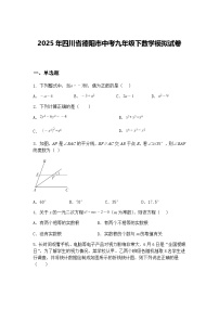 2025年四川省德阳市中考九年级下数学模拟试卷（含答案解析）