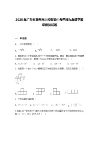 2025年广东省潮州市六校联盟中考四模九年级下数学模拟试题（含答案解析）