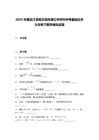 2025年黑龙江省哈尔滨市萧红中学校中考基础过关九年级下数学模拟试题（含答案解析）