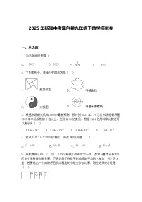 2025年新疆中考黑白卷九年级下数学模拟卷（含答案解析）
