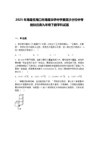 2025年海南省海口市海南华侨中学美丽沙分校中考模拟仿真九年级下数学科试题（含答案解析）