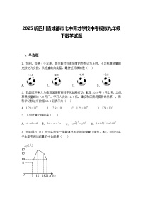 2025听四川省成都市七中育才学校中考模拟九年级下数学试题（含答案解析）