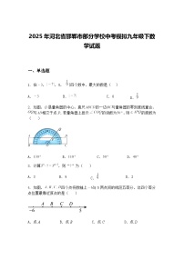 2025年河北省邯郸市部分学校中考模拟九年级下数学试题（含答案解析）