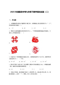 2025年湖南省中考九年级下数学模拟试题（二）（含答案解析）