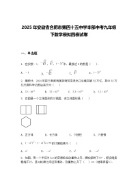 2025年安徽省合肥市第四十五中学本部中考九年级下数学模拟四模试卷（含答案解析）