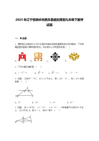 2025年辽宁省铁岭市西丰县模拟预测九年级下数学试题（含答案解析）