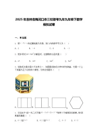 2025年吉林省梅河口市三校联考九年九年级下数学模拟试卷（含答案解析）