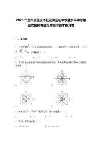 2025年贵州省遵义市红花岗区初中学业水平中考第三次模拟考试九年级下数学练习卷（含答案解析）