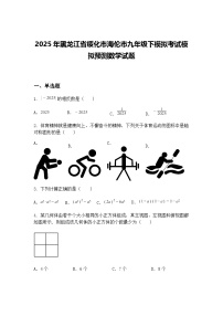 2025年黑龙江省绥化市海伦市九年级下模拟考试模拟预测数学试题（含答案解析）