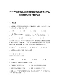2025年云南省文山壮族苗族自治州文山市第二学区模拟预测九年级下数学试题（含答案解析）