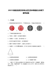 2025年湖北省武汉市青山区五月中考模拟九年级下数学试题（含答案解析）