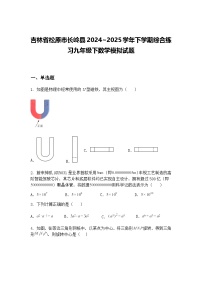 吉林省松原市长岭县2024~2025学年下学期综合练习九年级下数学模拟试题（含答案解析）