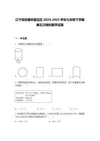 辽宁省抚顺市望花区2024-2025学年九年级下学期第五次模拟数学试题（含答案解析）