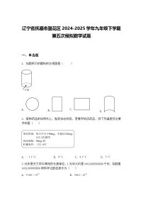 辽宁省抚顺市望花区2024-2025学年九年级下学期第五次模拟数学试题（含答案解析）