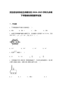 河北省沧州市任丘市部分校2024-2025学年九年级下学期模拟预测数学试题（含答案解析）