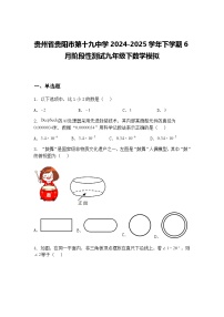 贵州省贵阳市第十九中学2024-2025学年下学期6月阶段性测试九年级下数学模拟（含答案解析）