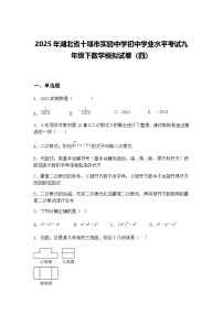 2025年湖北省十堰市实验中学初中学业水平考试九年级下数学模拟试卷（四）（含答案解析）