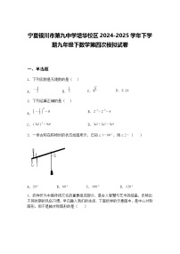 宁夏银川市第九中学培华校区2024-2025学年下学期九年级下数学第四次模拟试卷（含答案解析）