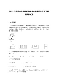 2025年内蒙古自治区初中学业水平考试九年级下数学模拟试卷（含答案解析）