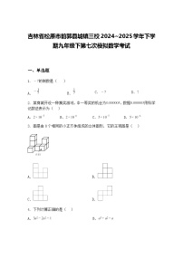 吉林省松原市前郭县城镇三校2024~2025学年下学期九年级下第七次模拟数学考试（含答案解析）