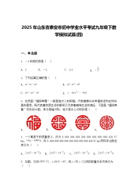 2025年山东省泰安市初中学业水平考试九年级下数学模拟试题(四)（含答案解析）