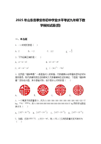 2025年山东省泰安市初中学业水平考试九年级下数学模拟试题(四)（含答案解析）