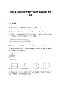 2025年河北省初中学业水平模拟考试九年级下数学试卷（含答案解析）