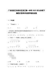 广东省湛江市赤坎区湛江第一中学2025年九年级下第四次素养评价数学模拟试题（含答案解析）