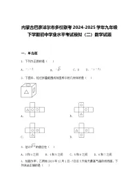 内蒙古巴彦淖尔市多校联考2024-2025学年九年级下学期初中学业水平考试模拟（二）数学试题（含答案解析）