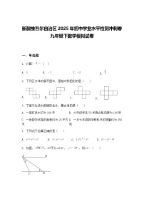 新疆维吾尔自治区2025年初中学业水平检测冲刺卷九年级下数学模拟试卷（含答案解析）