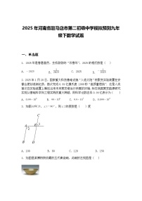 2025年河南省驻马店市第二初级中学模拟预测九年级下数学试题（含答案解析）